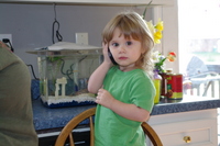 botos family album 2012
