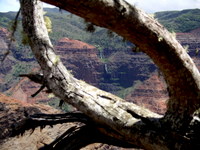 waimea canyon waterfall