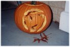 cat pumpkin