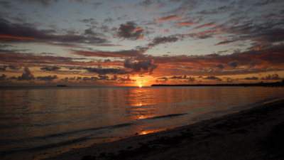 2 specators watchiing a water game