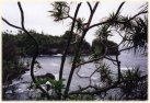 coast near hilo