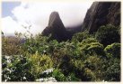 iao needle