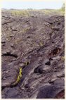 lava reclaimed #3