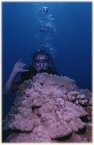 behind a big mushroom coral