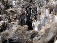 ice crystals in frozen mulch